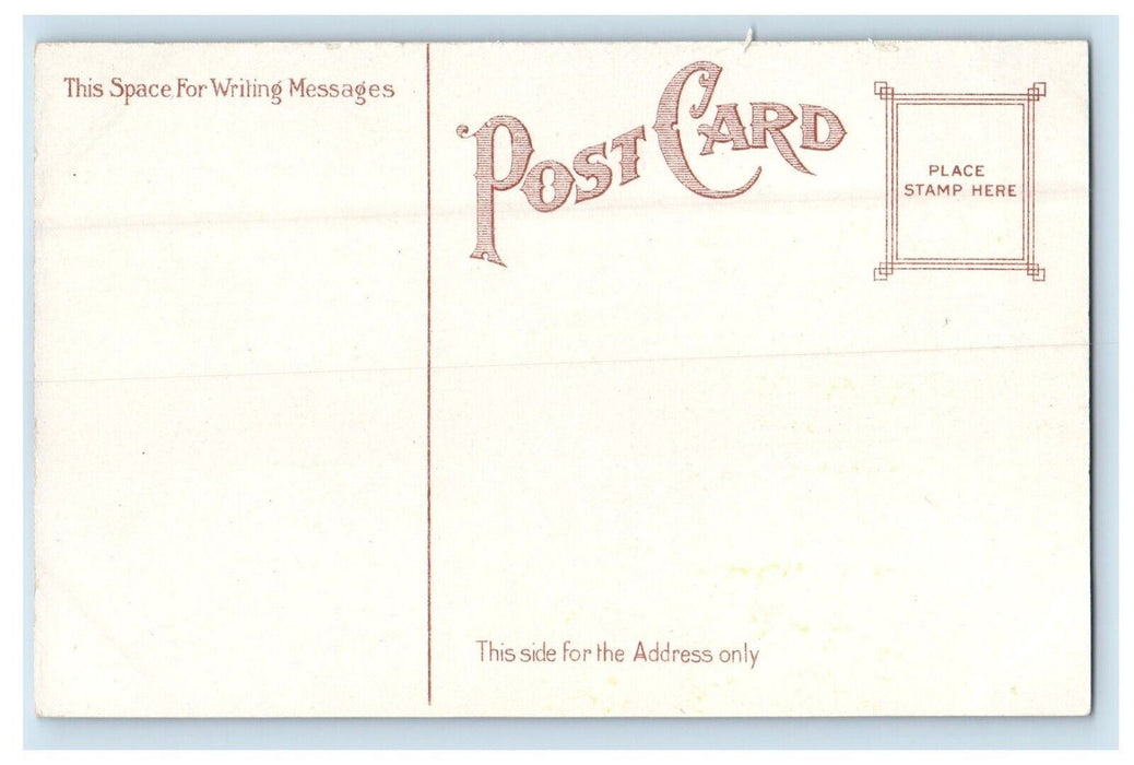 c1910's View Of New Mulberry Street Bridge Harrisburg Pennsylvania PA Postcard