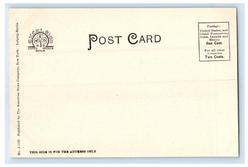 c1905 Reservoir Park Harrisburg Pennsylvania PA Unposted Antique Postcard