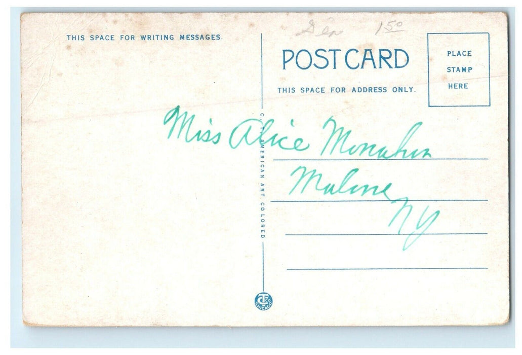 c1930's Street View Of St. Patricks School Seneca Falls New York NY Postcard