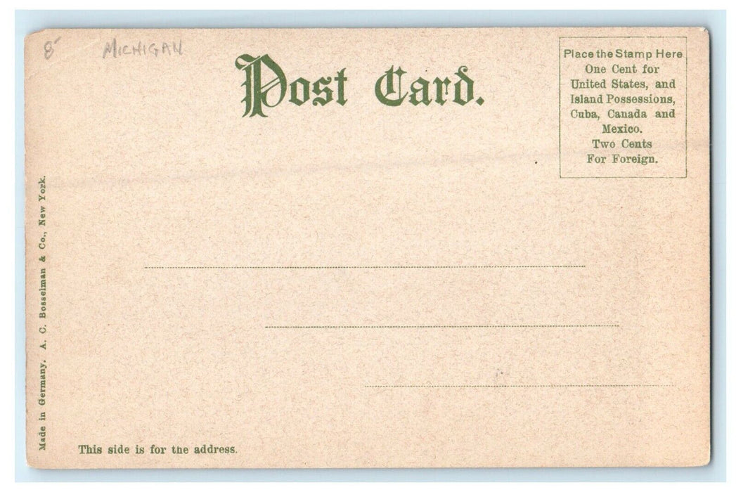 1906 Bath Houses, Belle Isle, Detroit Michigan MI Antique Unposted Postcard