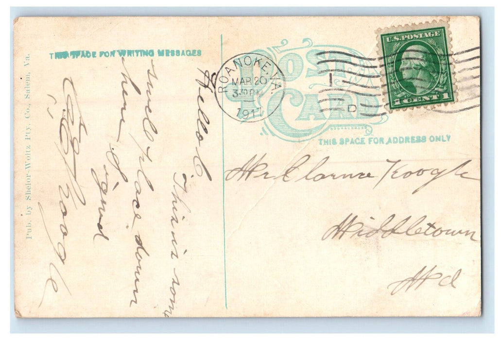 1917 Campbell Avenue Looking West Roanoke Virginia VA Antique Postcard