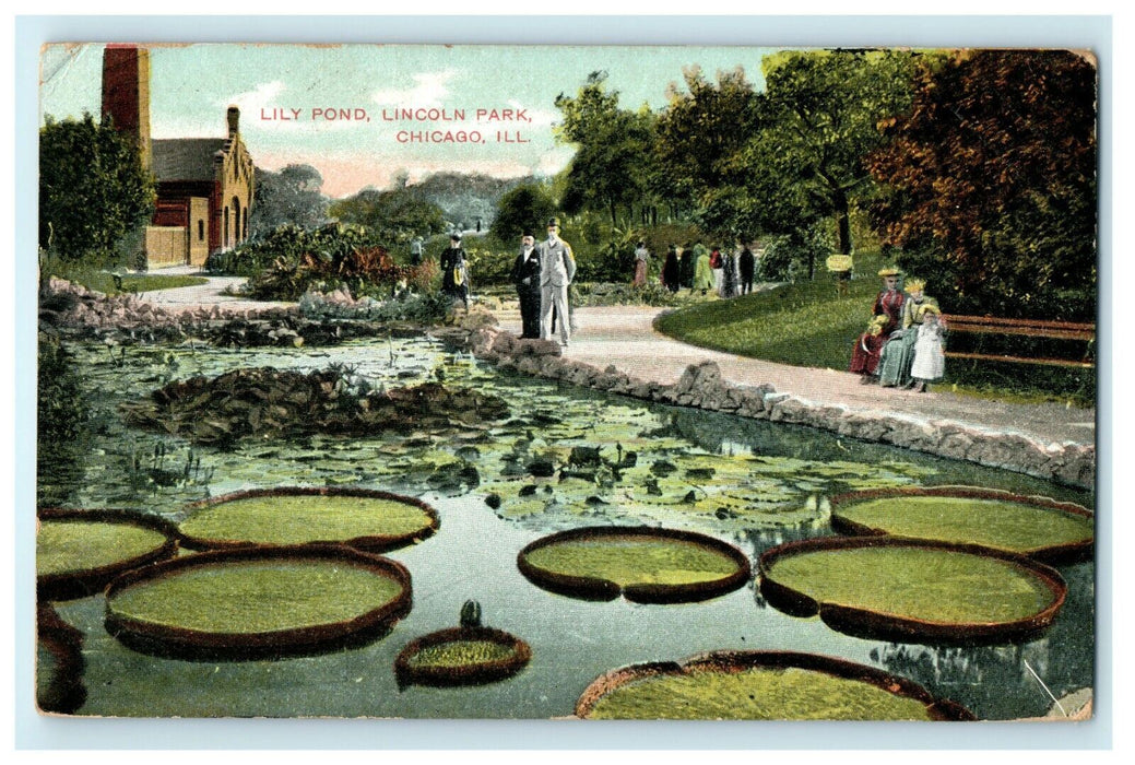 1908 Lily Pond, Lincoln Park Chicago Illinois IL Posted Antique Postcard