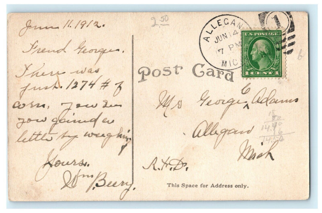 1912 City Water Works, Allegan Michigan MI Antique Posted Postcard