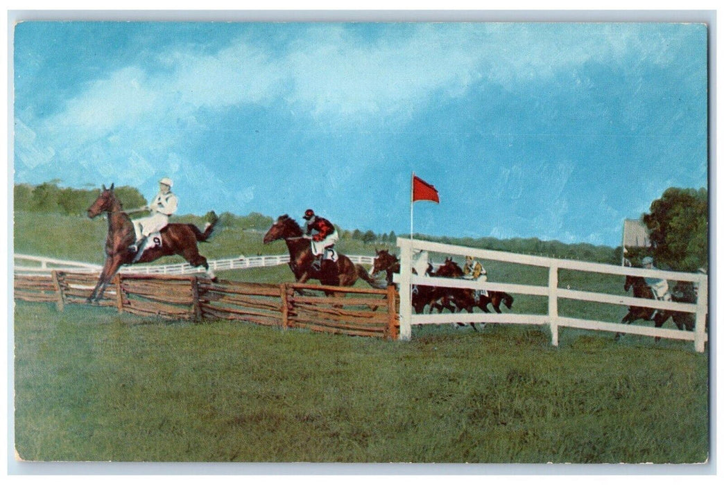 c1950's Timber Jumb Gold Cup Races Warrenton Virginia VA, Horse Racing Postcard