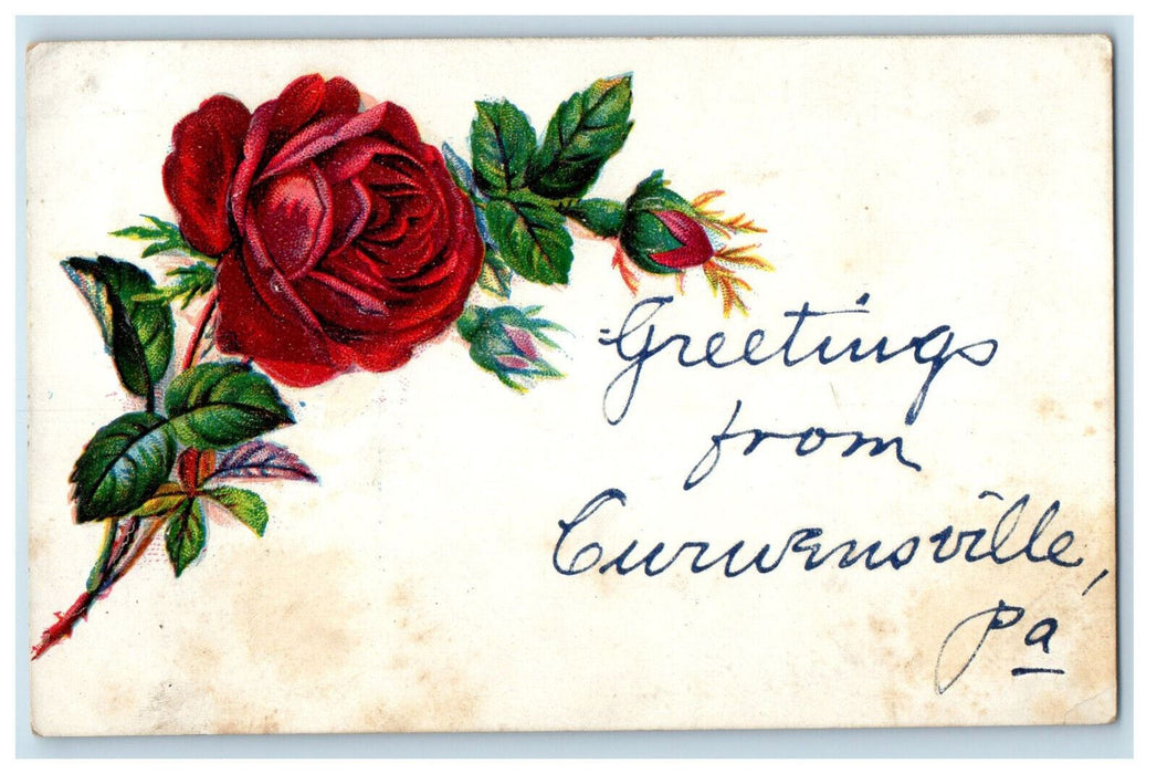 1908 Red Rose, Greetings from Curwensville PA Antique Posted Postcard