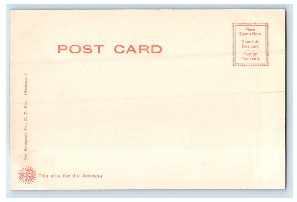 c1905 View In Reservoir Park Harrisburg Pennsylvania PA Rotograph Postcard