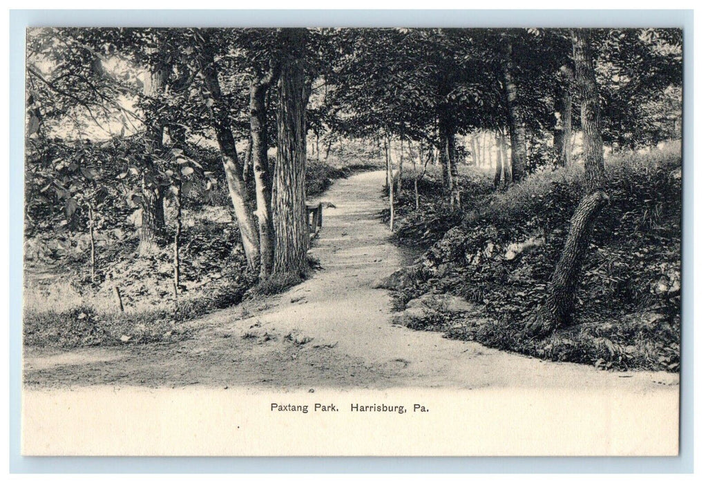 c1905 Paxtang Park Dirt Road Harrisburg Pennsylvania PA Unposted  Postcard