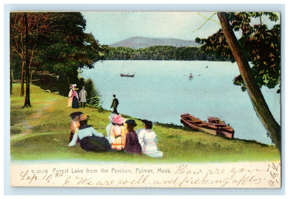 1906 Forest Lake From The Pavilion Palmer Massachusetts MA Antique Postcard