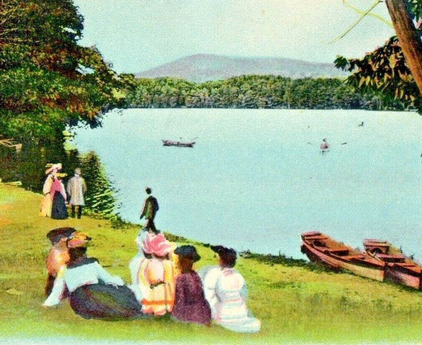 1906 Forest Lake From The Pavilion Palmer Massachusetts MA Antique Postcard