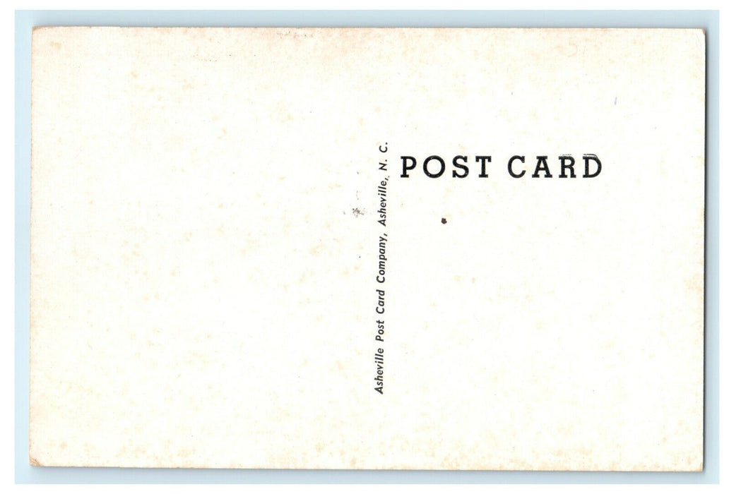 1911 Boat Landing in Fairy Stone State Park, Patrick County Virginia VA Postcard