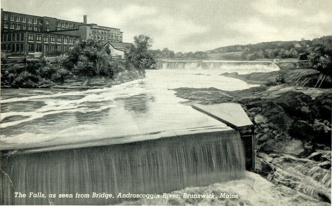 1923 The Falls, Androscoggin River, Brunswick Maine ME Vintage Postcard