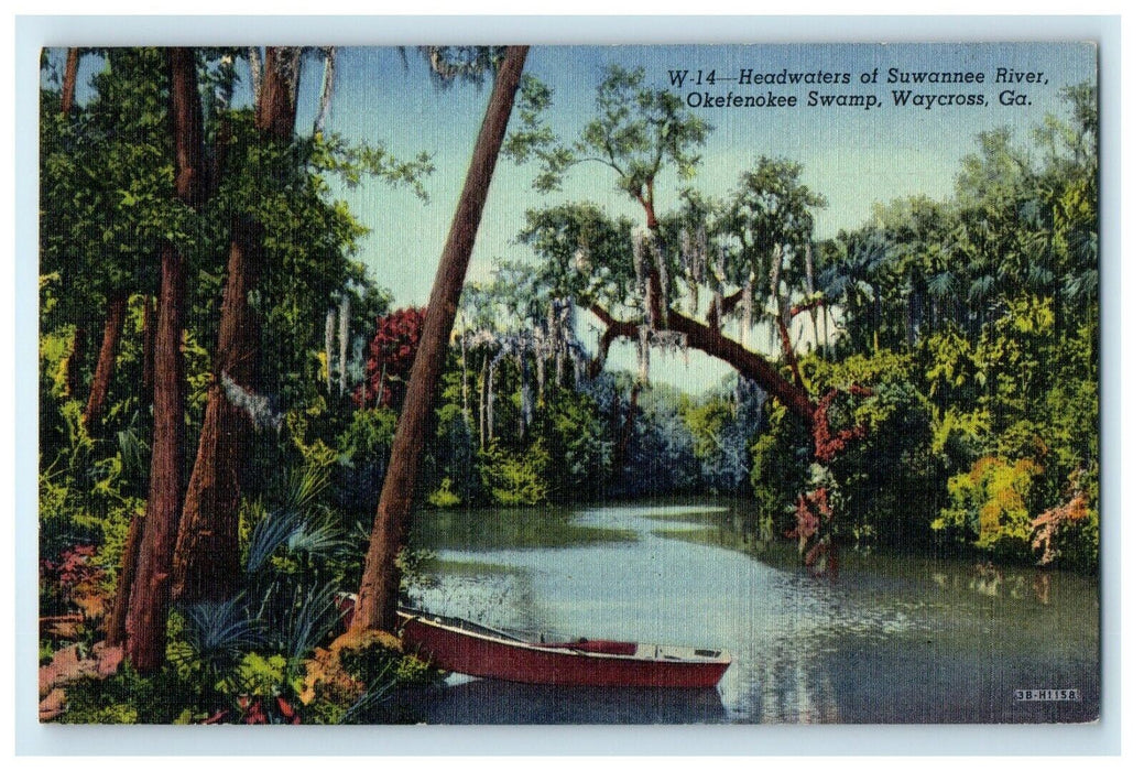 1950 Headwaters Of Suwannee River Okefenokee Swamp Waycross Georgia GA Postcard