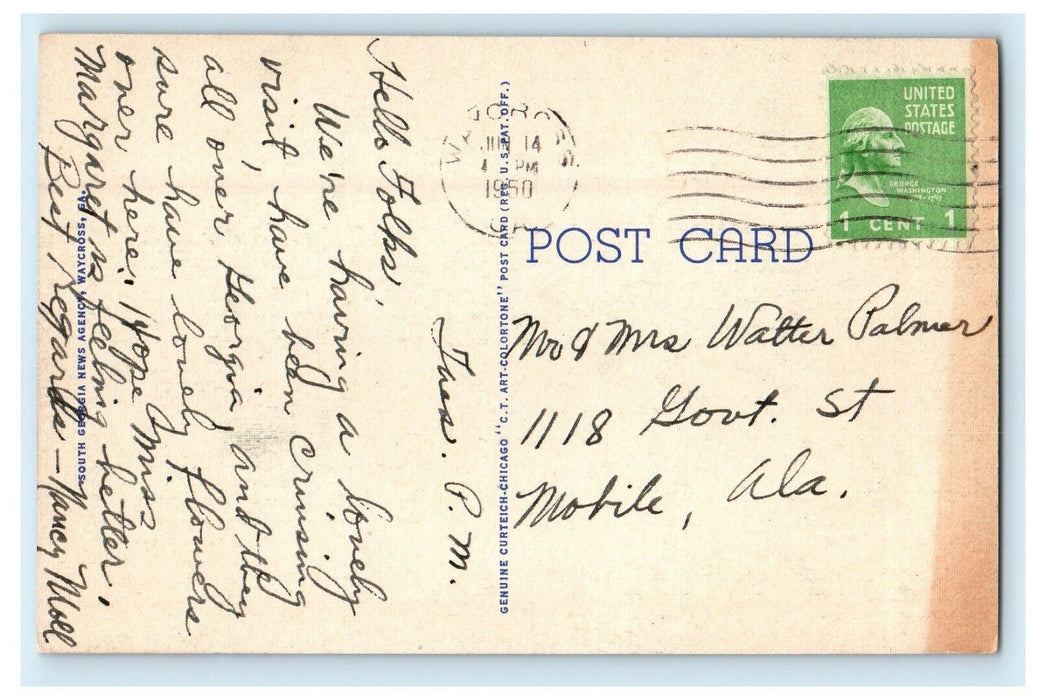 1950 Headwaters Of Suwannee River Okefenokee Swamp Waycross Georgia GA Postcard