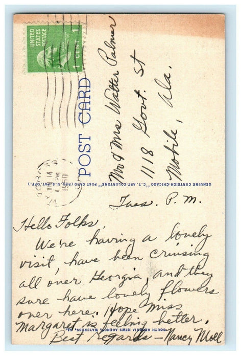 1950 Headwaters Of Suwannee River Okefenokee Swamp Waycross Georgia GA Postcard