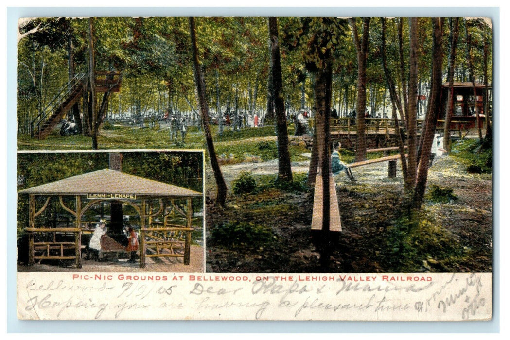 1905 Pic-Nic Grounds at Bellewood, Pattenburg, New Jersey NJ Postcard