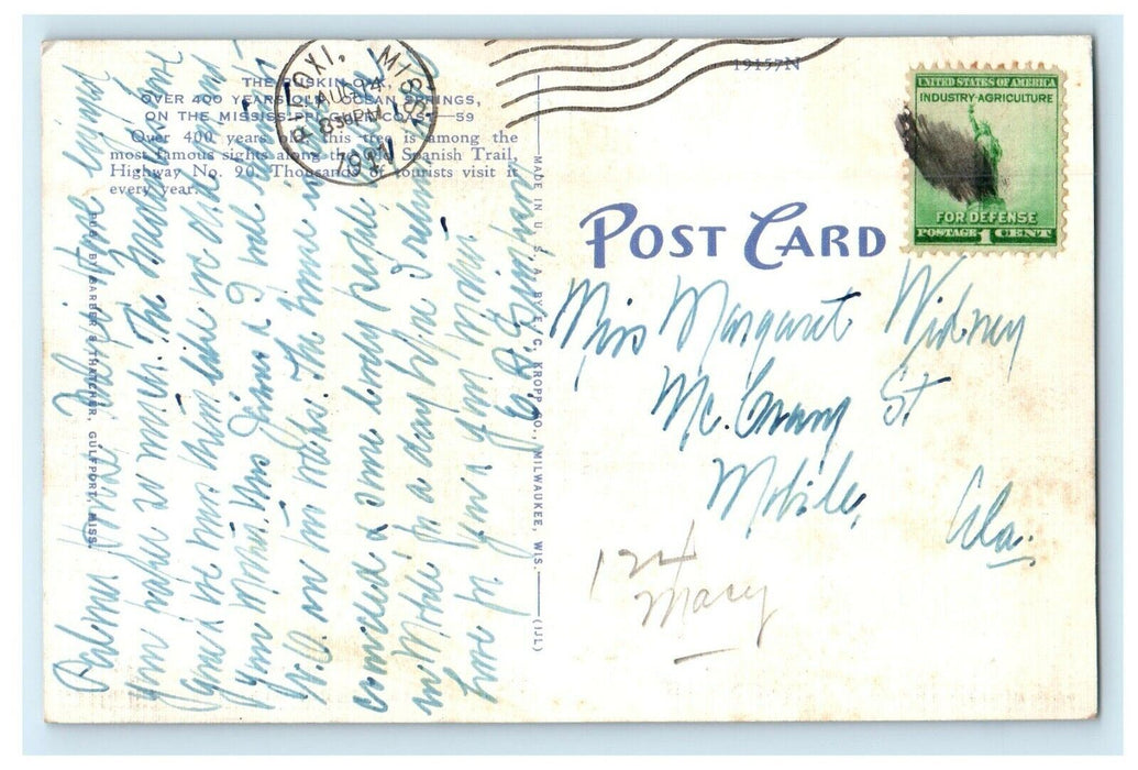 1911 The Ruskin Oak Old Spanish Trail Ocean Springs MS, Biloxi Postcard