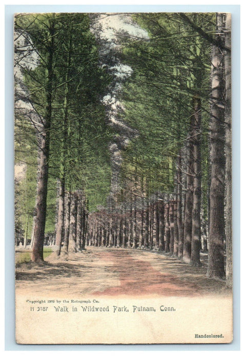 c1920s Walk in Wildwood Park, Putnam Connecticut CT Unposted Postcard