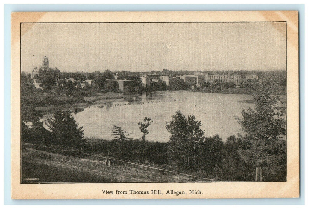 1901 River View in Thomas Hill, Allegan Michigan MI Antique Postcard