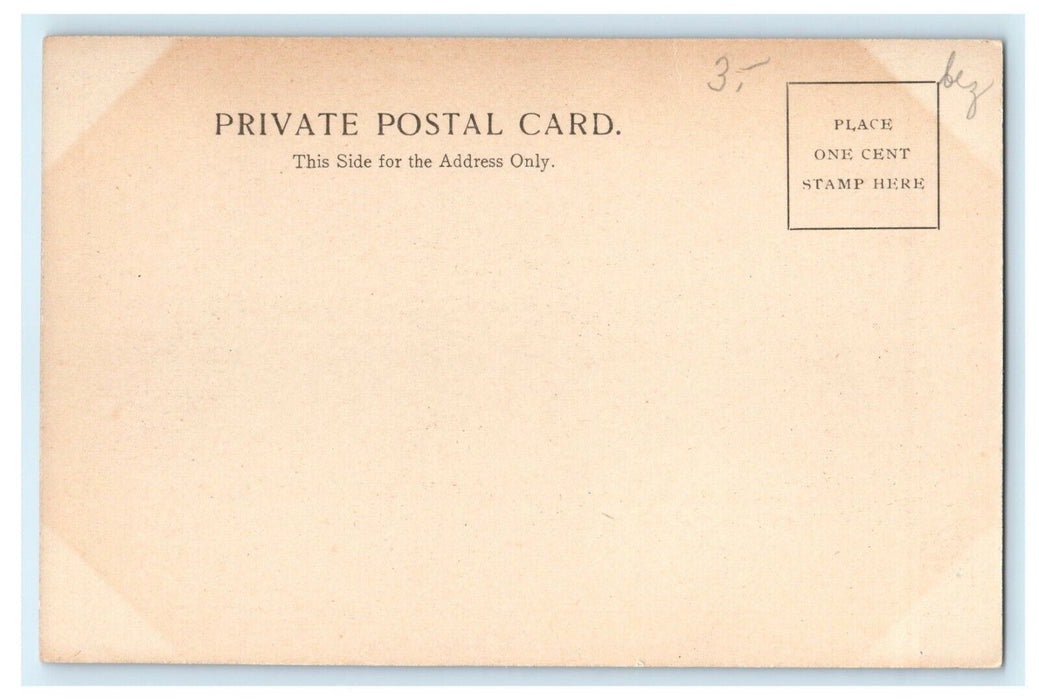 1901 River View in Thomas Hill, Allegan Michigan MI Antique Postcard