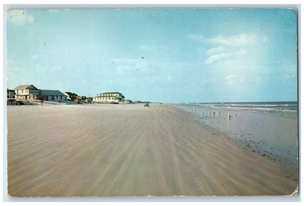 c1960's Velvet-Like Surface Sand, New Smyrna Beach Florida FL Postcard