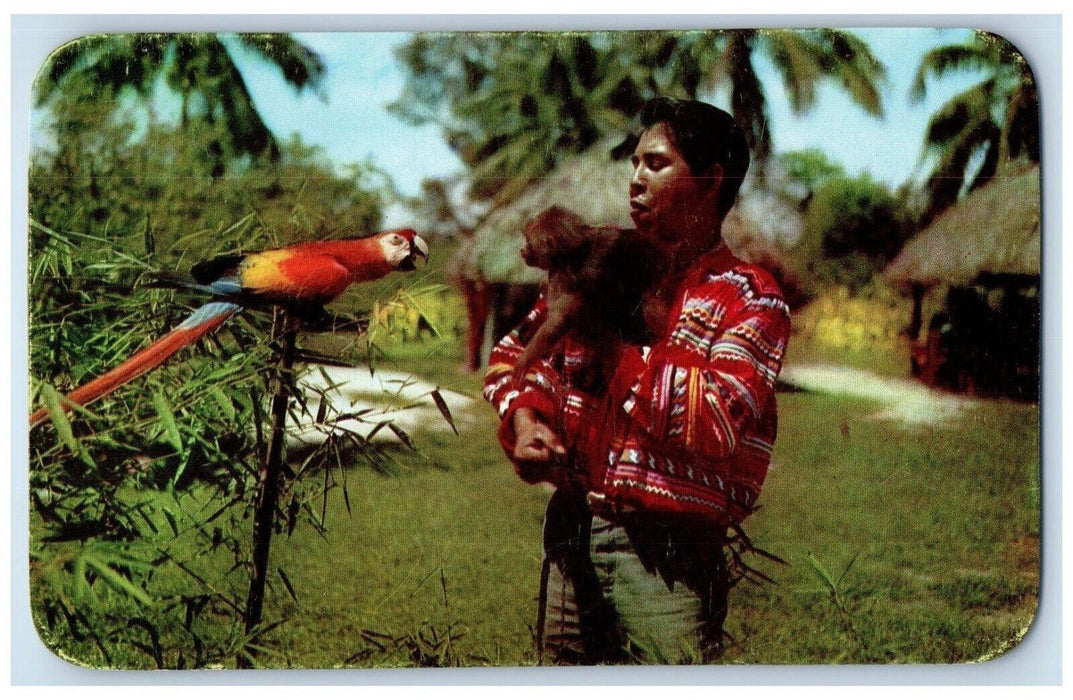 Seminole Indian Wild Life At Musa Isle Indian Village Miami River FL Postcard