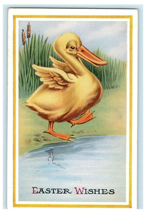 c1910 Easter Duck At Pond Cattails Weeds Pink of Perfection Antique Postcard