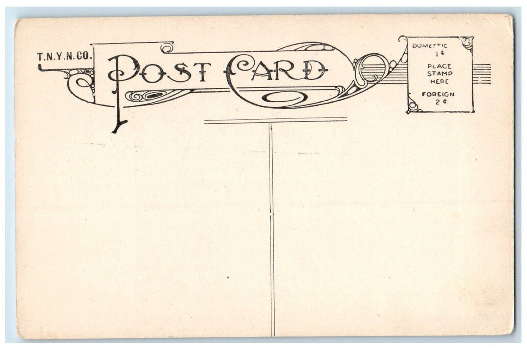 c1910's Universalist Church McLean New York NY Unposted Antique Postcard