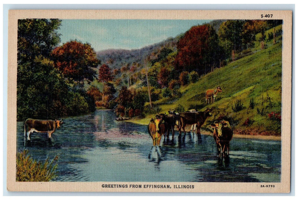 c1940's Cows on River Greetings from Effingham Illinois IL Vintage Postcard