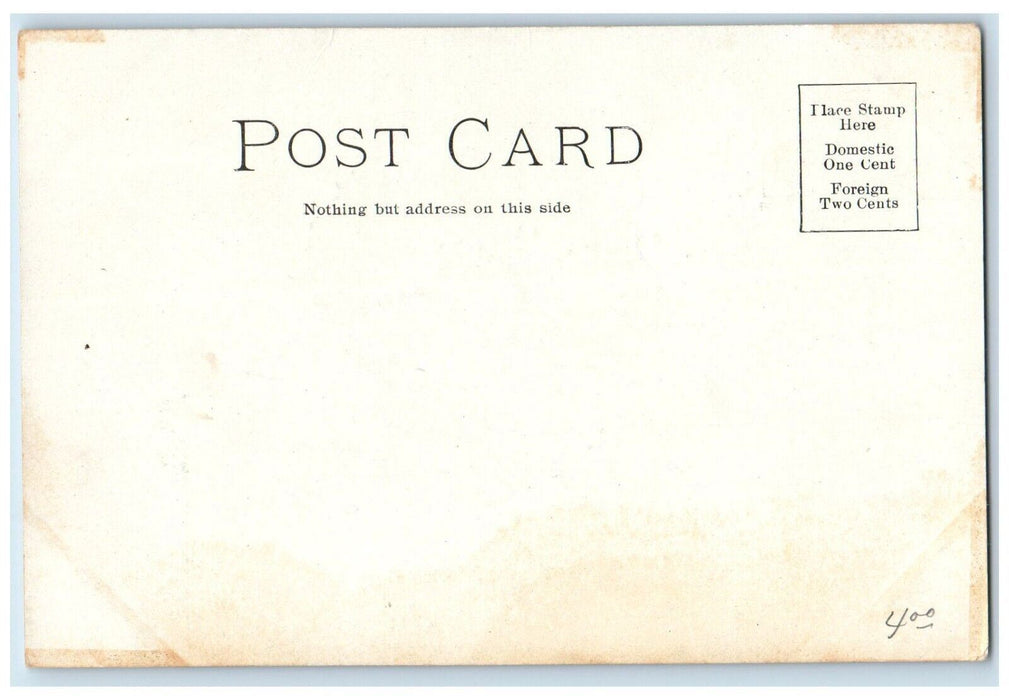 c1905 Entrance to White City Chicago Illinois IL Antique Unposted Postcard