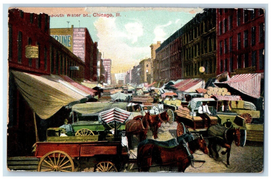 c1910 Horse Carriage Market at South Water Street Chicago Illinois IL Postcard
