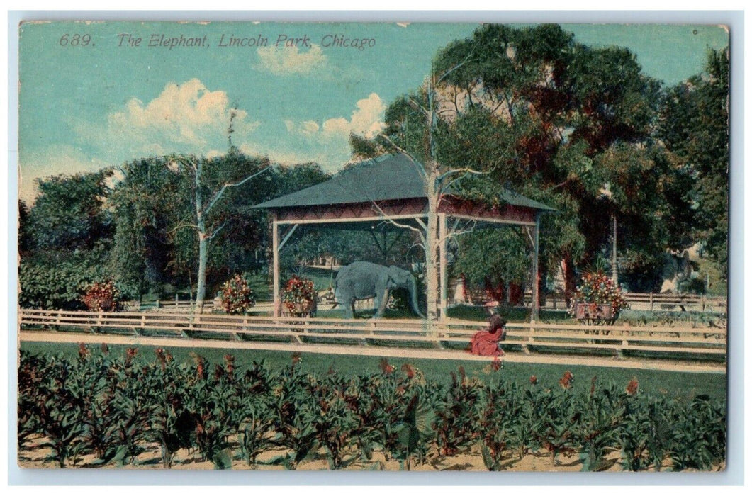 1917 The Elephant Lincoln Park Chicago Illinois IL Posted Antique Postcard
