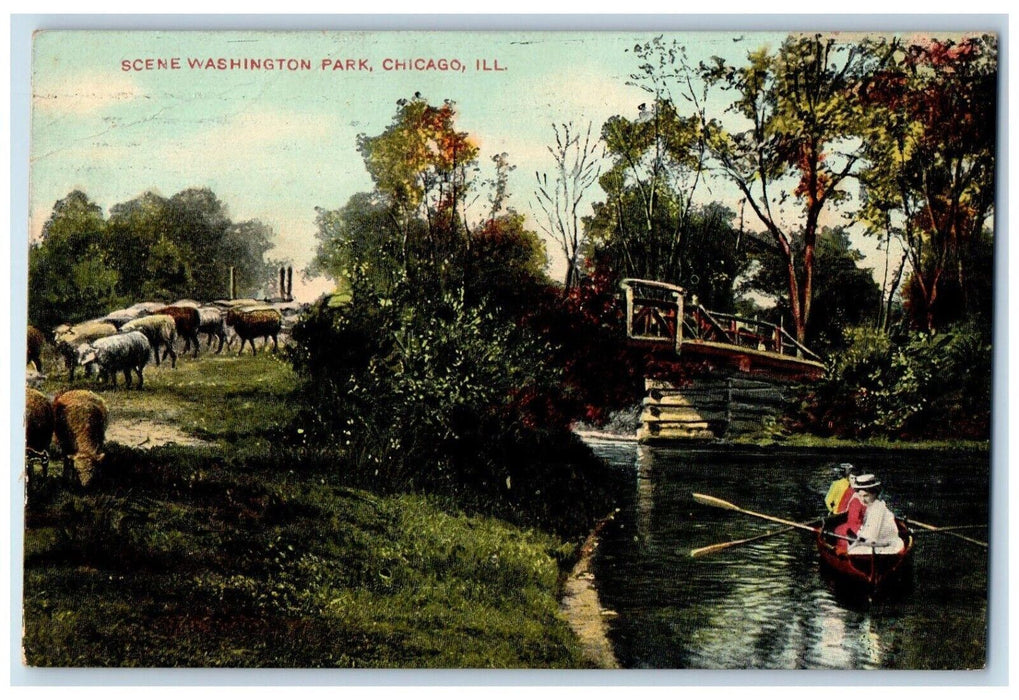 1909 Animal Boat Canoeing Scene Washinton Park Chicago Illinois IL Postcard