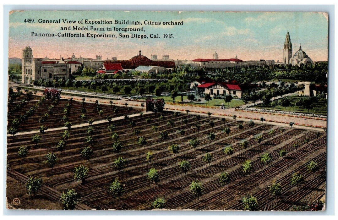 1915 General View Of Expo Citrus Orchard Model Farm Panama San Diego CA Postcard