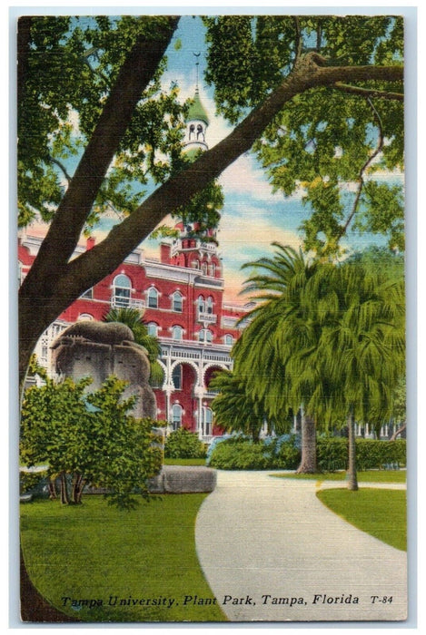 1955 Scenic View Tampa University Plant Park Tampa Florida FL Antique Postcard