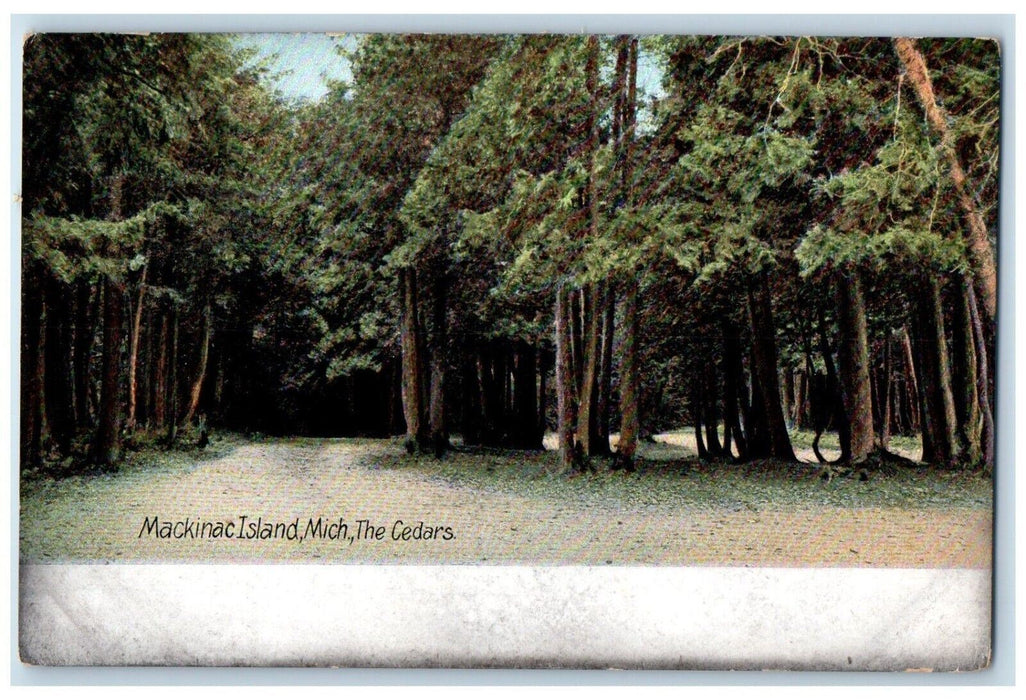 c1910's The Cedars Dirt Road Mackinac Island Michigan MI Antique Postcard