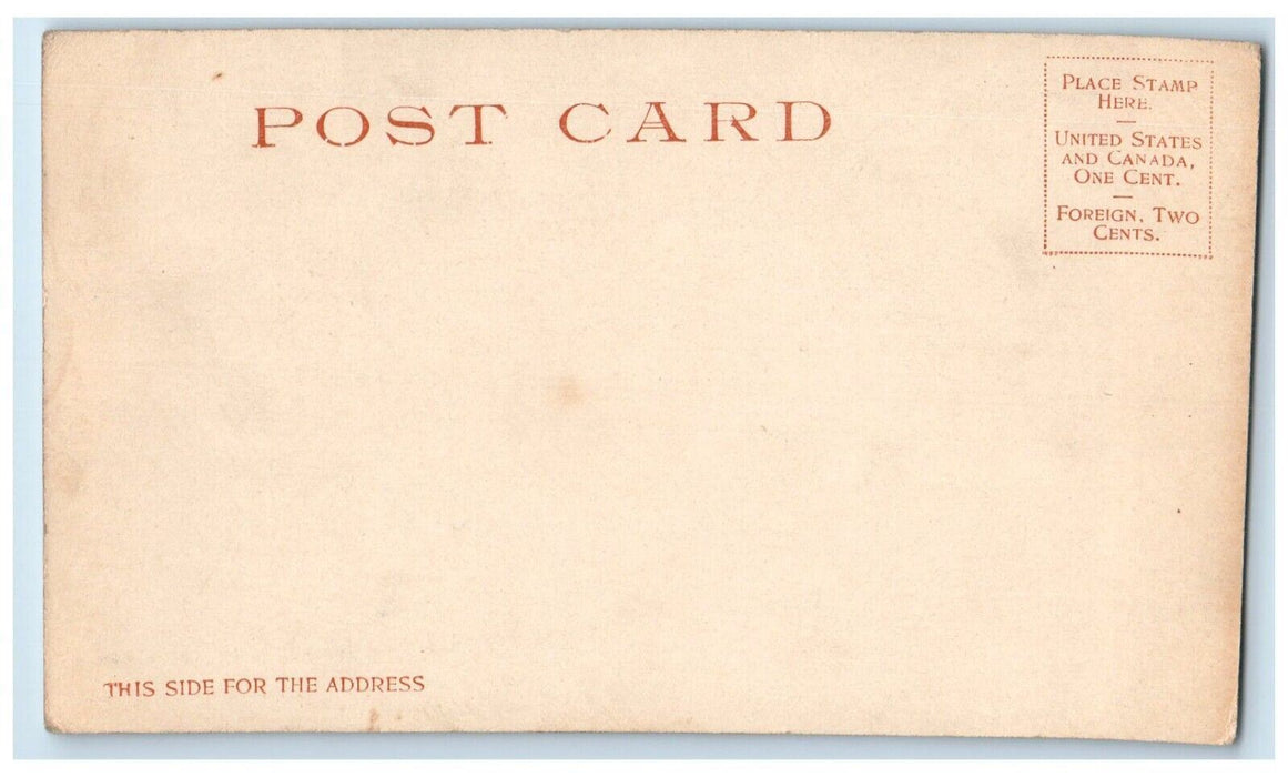 c1905 Hotel De Soto Building Savannah Georgia GA Unposted Antique Postcard