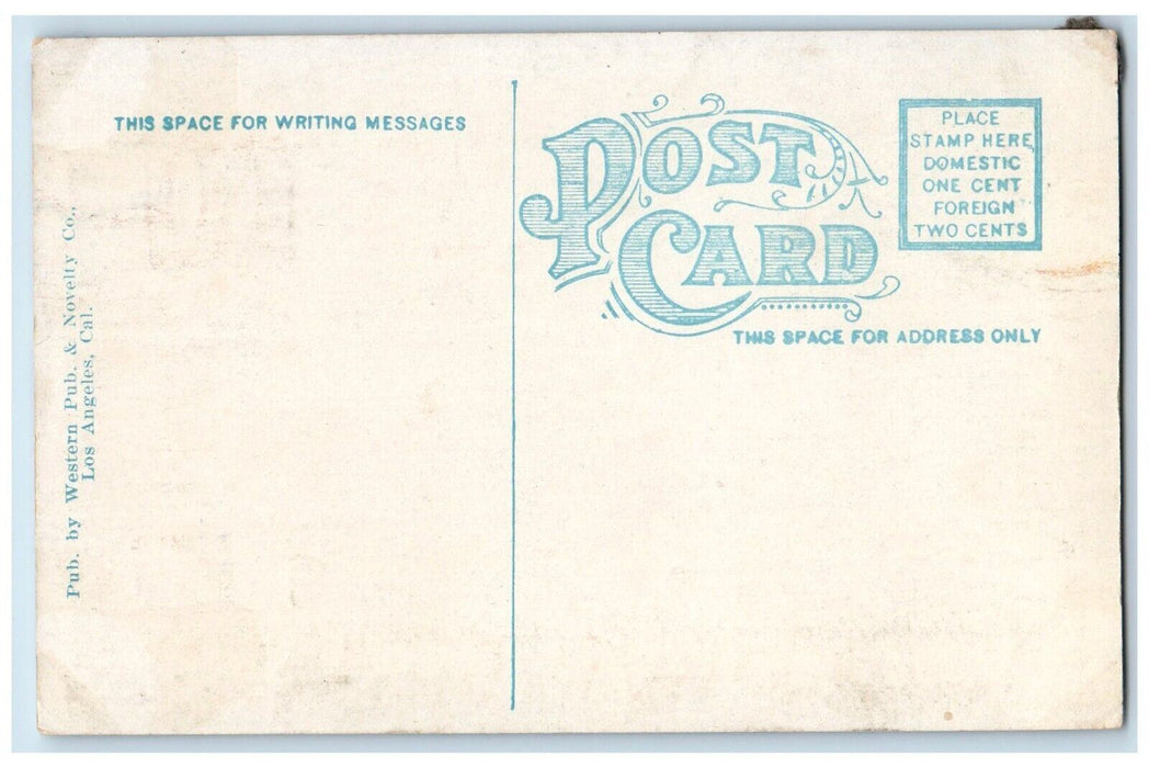 1910 Thompson Scenic Railway Mecca Buffet Venice California CA Antique Postcard