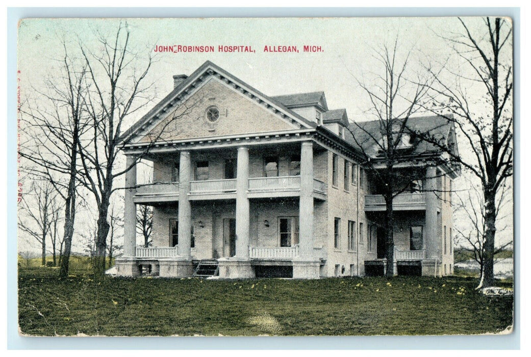 1909 Withered Tree in John Robinson Hospital Allegan Michigan MI Postcard