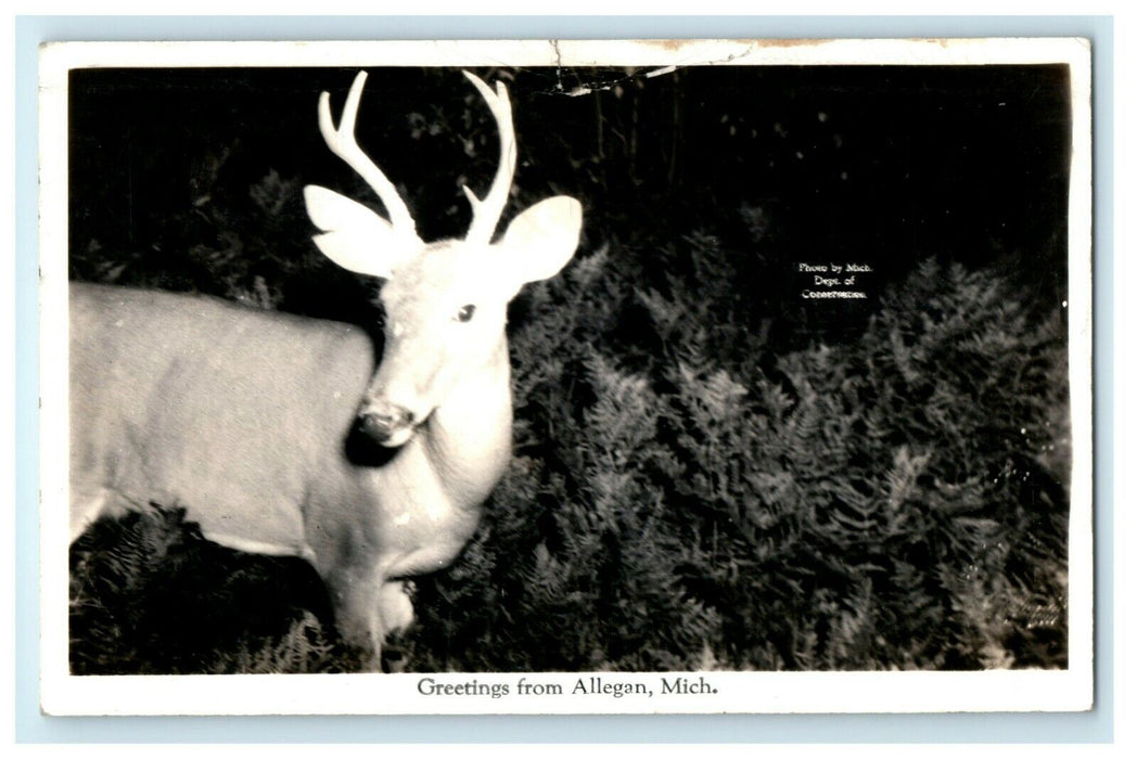 1941 Greetings From Allegan Michigan MI Deer Animal Buck RPPC Photo Postcard