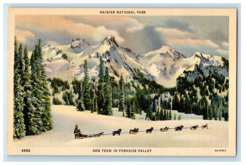 c1950's Rainier National Park, Dog Sleigh in Paradise Valley Postcard