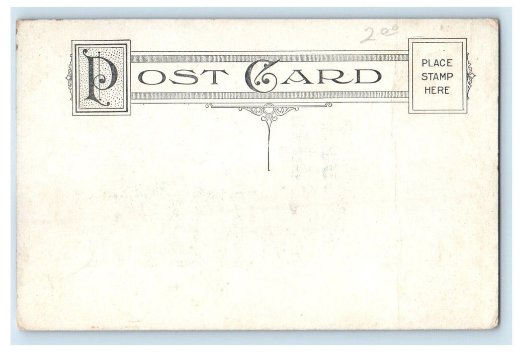 c1910's Tappan School Building Campus Ann Arbor Michigan MI Antique Postcard