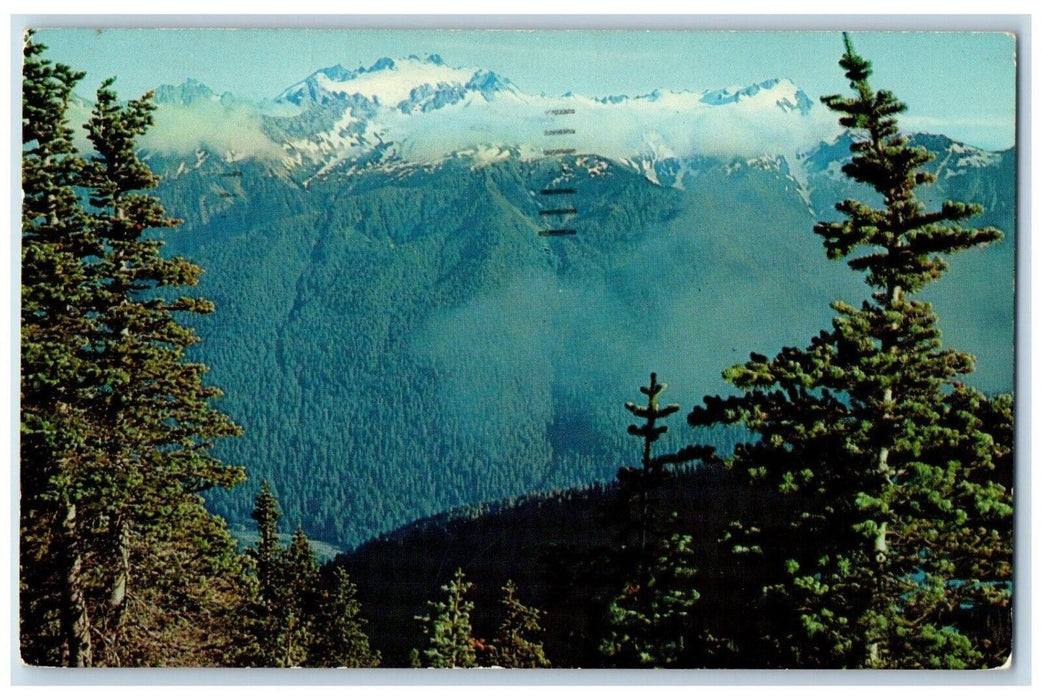1963 Mount Olympus Highest Peak Olympic National Park Washington WA Postcard