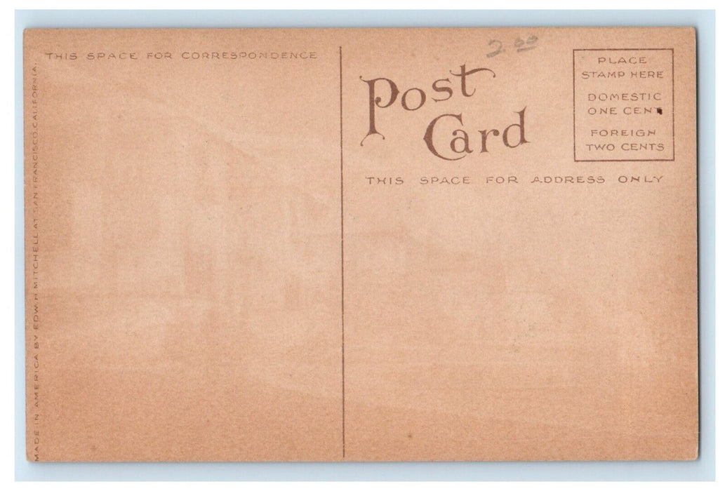 c1910's Fraternity Row Stanford University California CA Antique Postcard