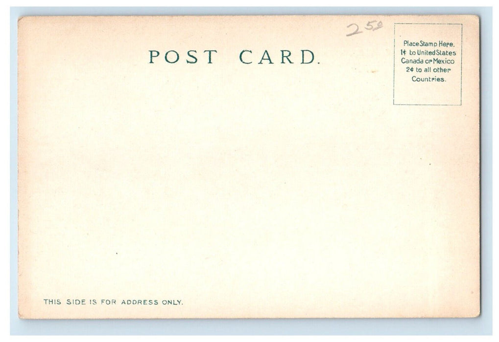 c1905 View Of University Of California CA, Buildings Unposted Antique Postcard