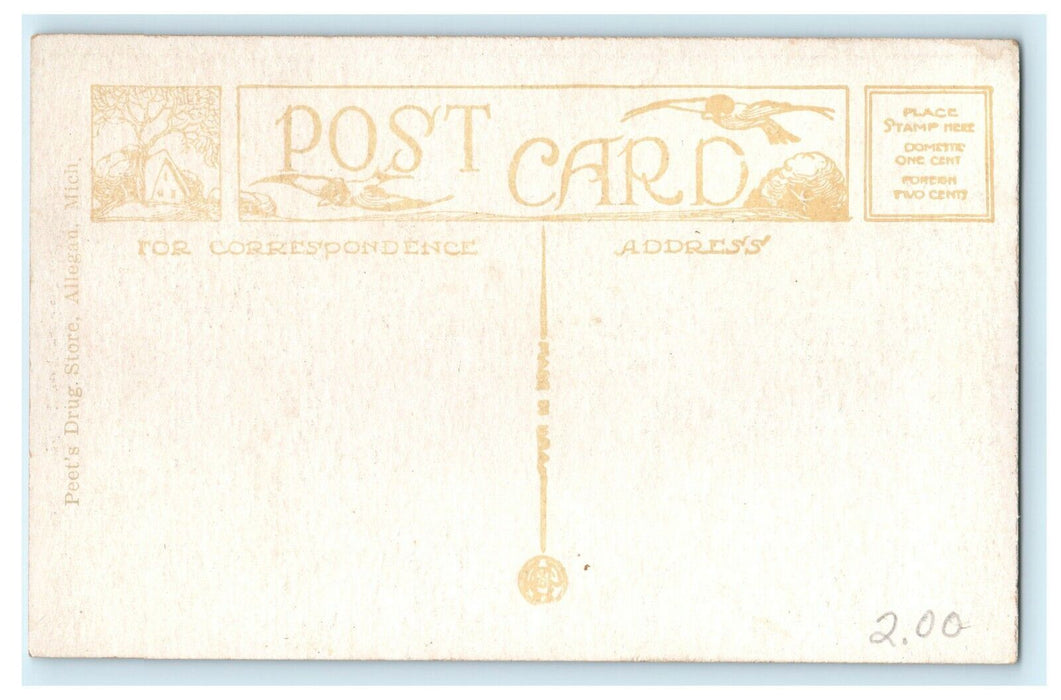 1913 Vintage Cars in John Robinson Hospital, Allegan Michigan MI Postcard