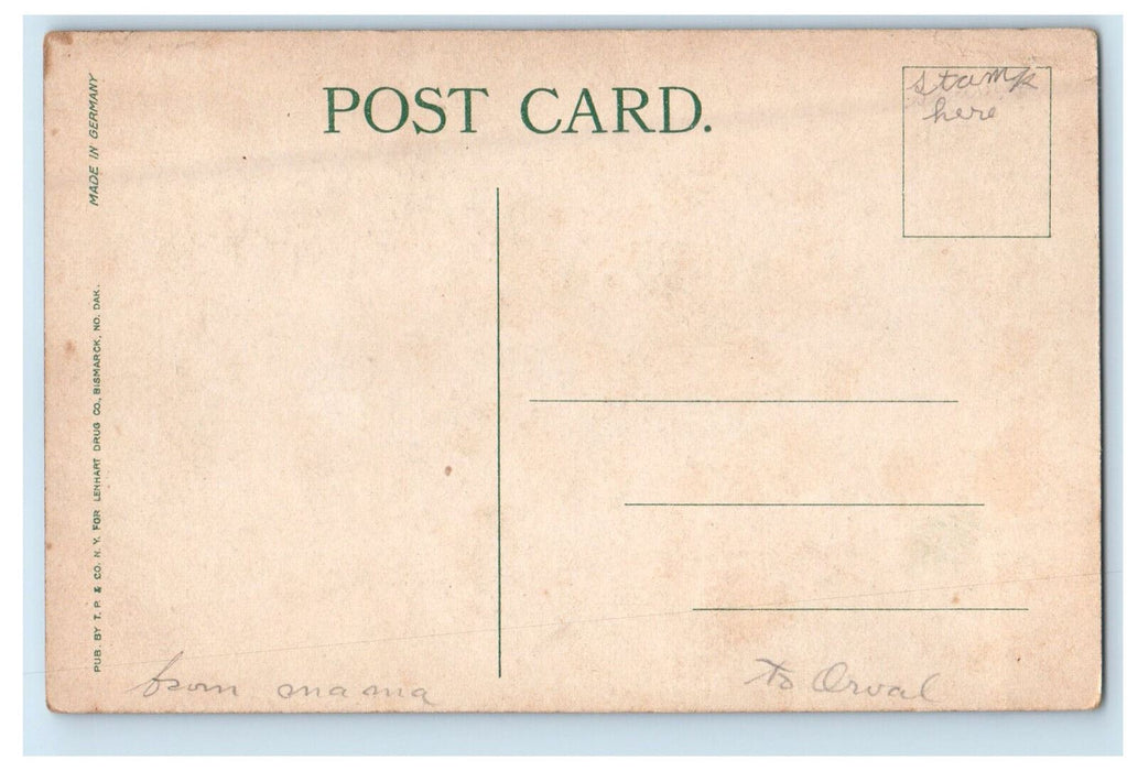 c1910 Theodore Roosevelt's Cabin Near Medora North Dakota ND Postcard