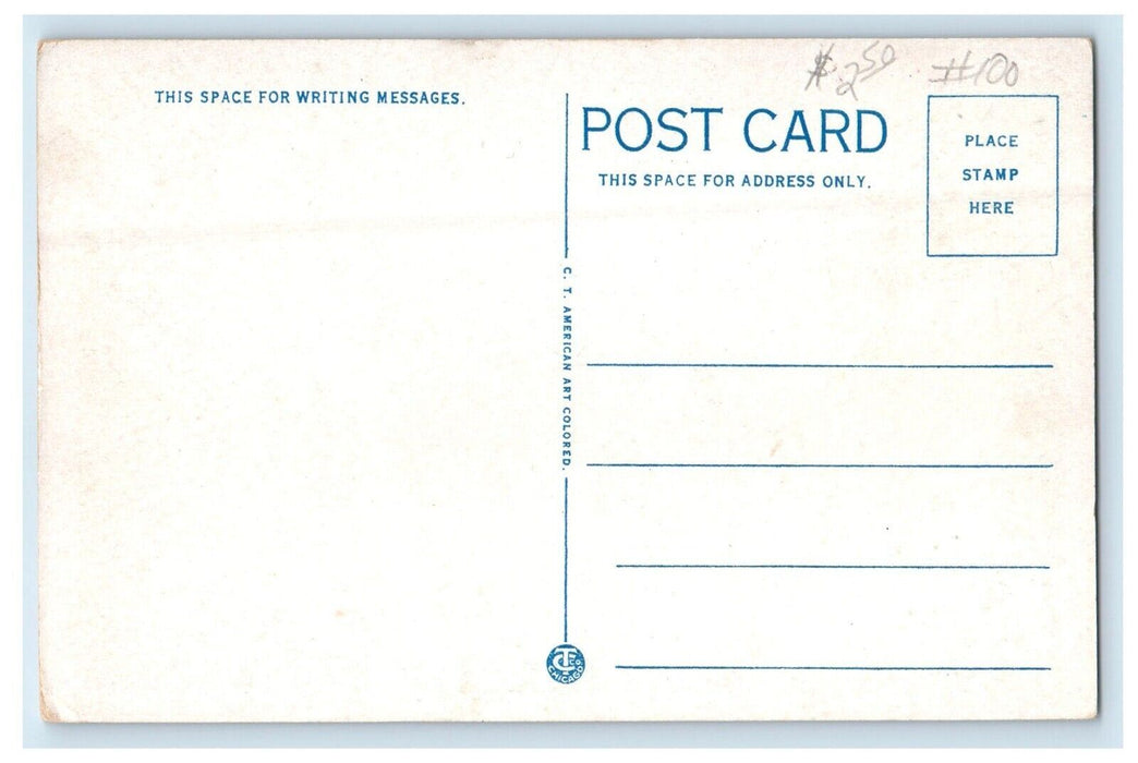 c1920's Post Office Building Cars Pana Illinois IL Unposted Vintage Postcard