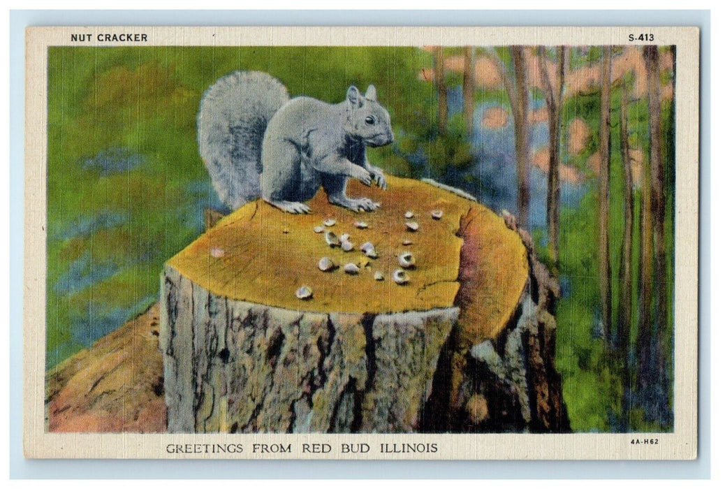 c1930's Greetings From Red Bud Illinois IL, Nut Cracker Postcard