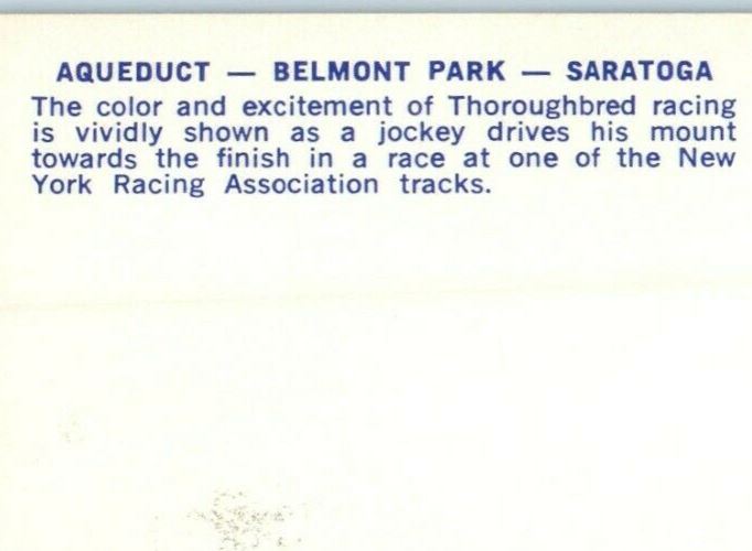 c1950's Aqueduct Belmont Park Saratoga Thoroughbred Horse Racing NY Postcard