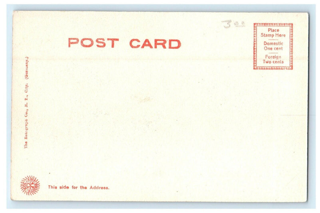c1905 De Olde Toll Bridge View Springfield Massachusetts MA Rotograph Postcard
